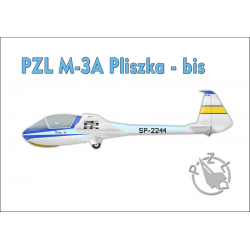Magnes szybowiec PZL M-3A Pliszka - bis